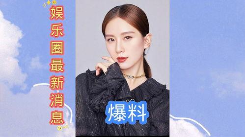 娱乐圈最新爆料辟谣,真相与谣言的较量  第1张